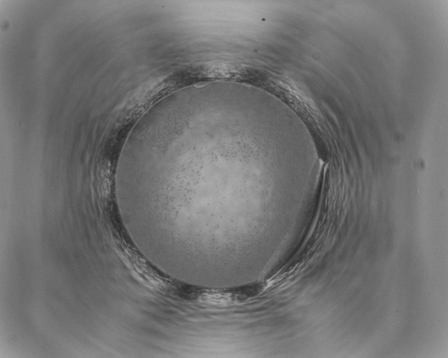 X0000086940413200704231402