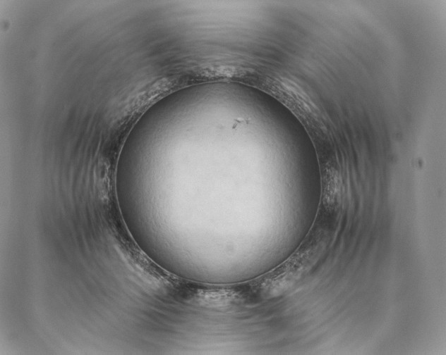 X0000086940414200704231402