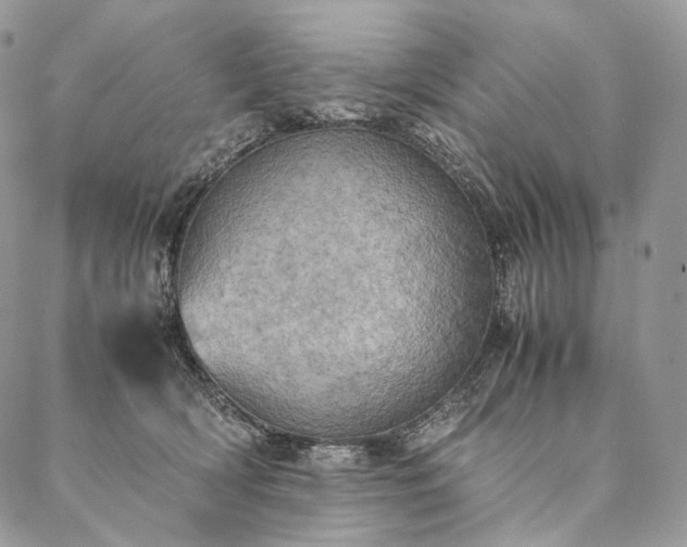X0000086940418200704231402