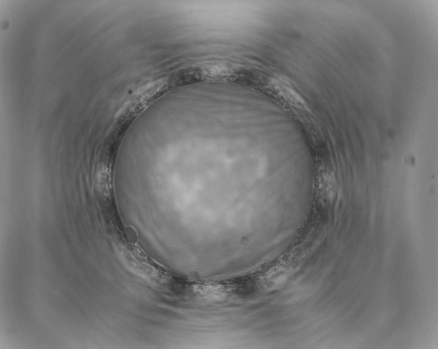 X0000086940419200704231402