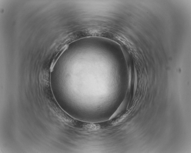 X0000086940421200704231402
