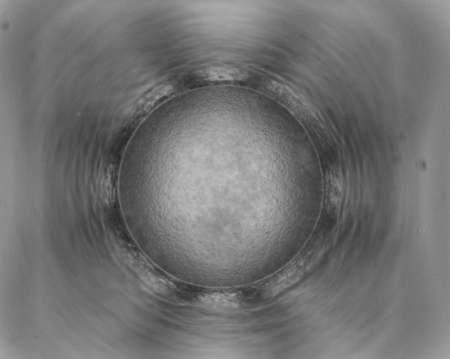 X0000086940422200704231402