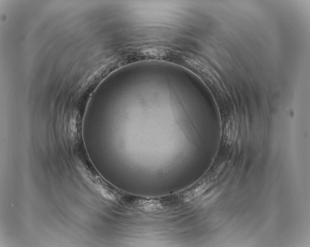 X0000086940424200704231402