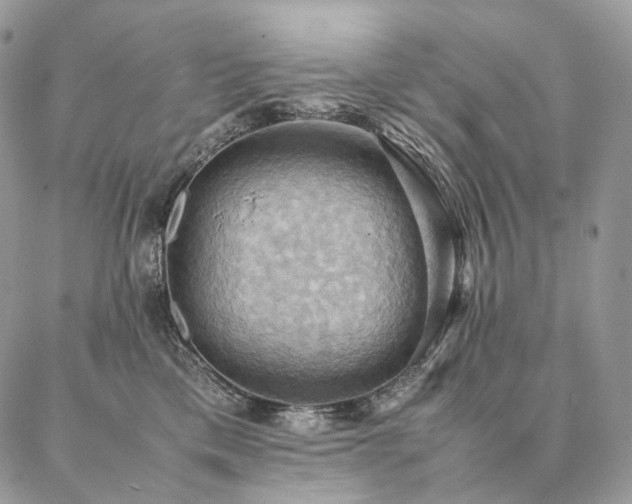 X0000086940425200704231402