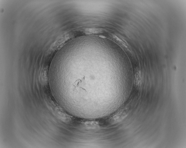X0000086940426200704231402