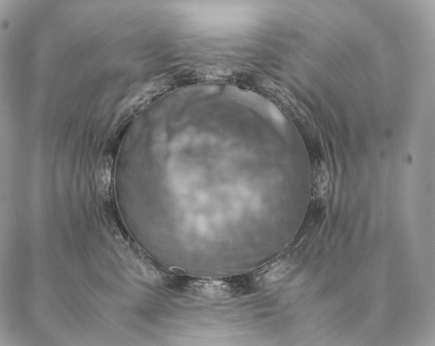 X0000086940427200704231402