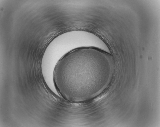X0000086940432200704231402