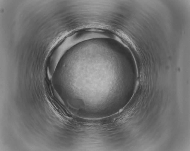 X0000086940436200704231401