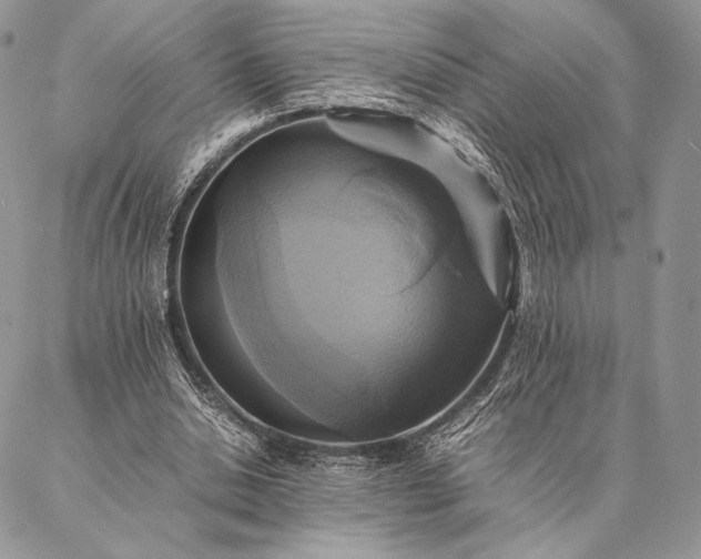 X0000086940438200704231401