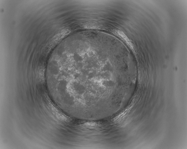 X0000086940441200704231401