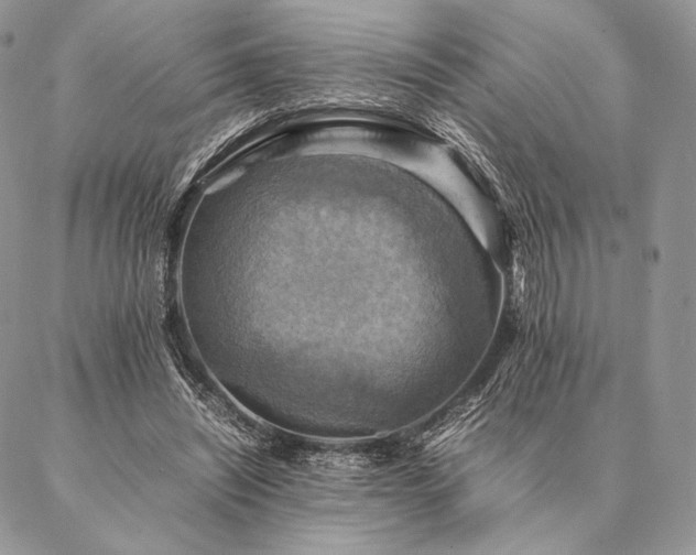 X0000086940444200704231401