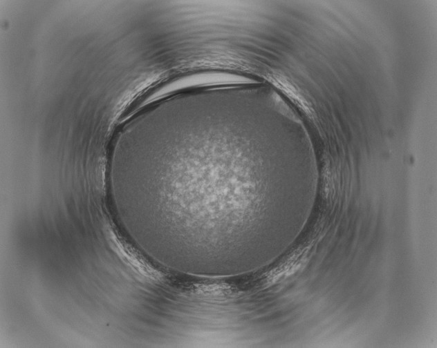 X0000086940446200704231401