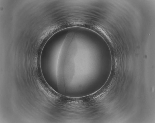 X0000086940447200704231401