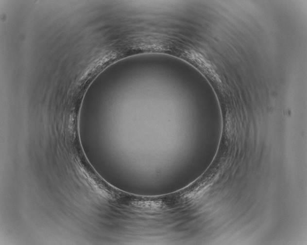 X0000086940449200704231401