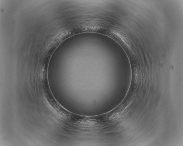 X0000086940451200704231402
