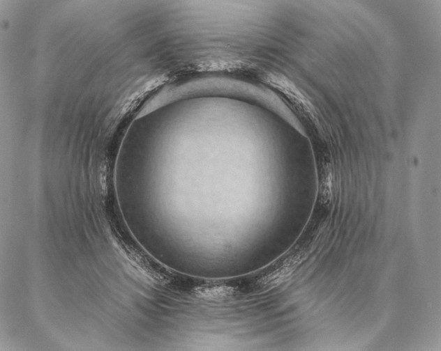 X0000086940452200704231402
