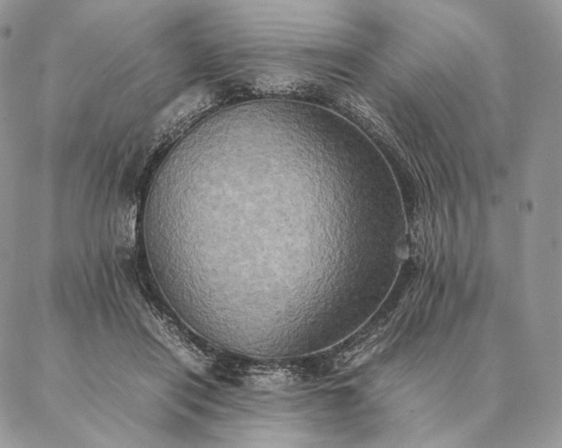 X0000086940454200704231402