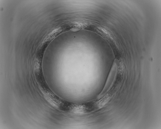 X0000086940456200704231402