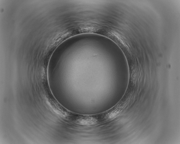 X0000086940459200704231402