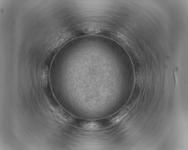 X0000086940460200704231402