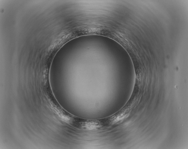 X0000086940462200704231402
