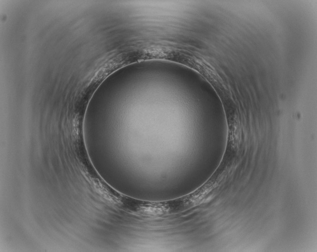 X0000086940466200704231402