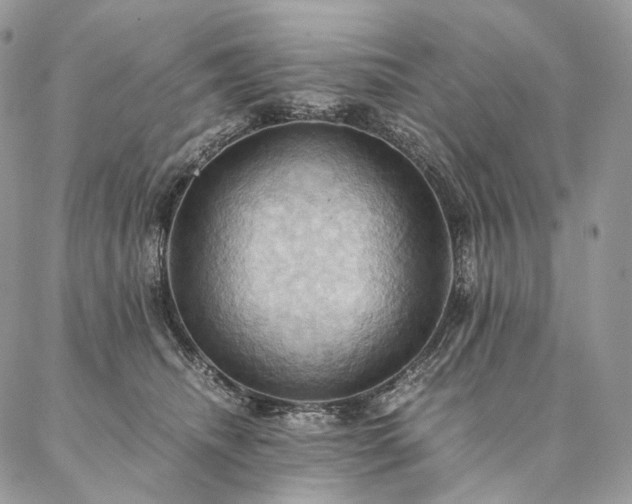 X0000086940468200704231402