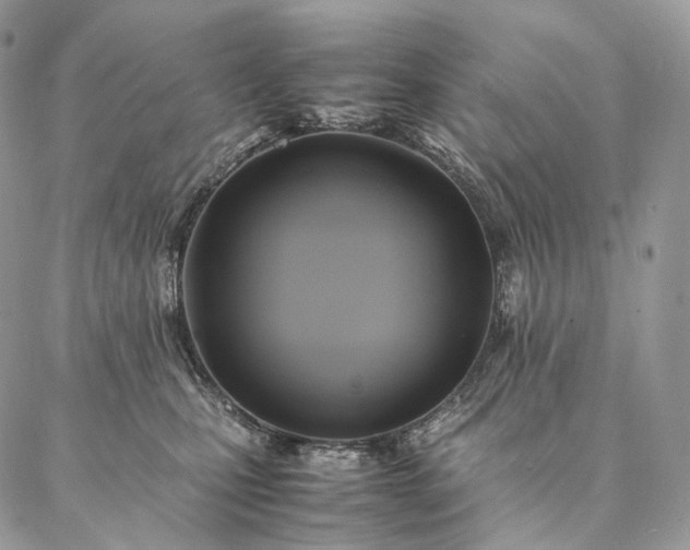 X0000086940471200704231402