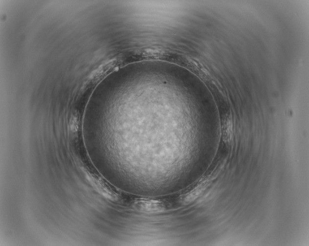 X0000086940472200704231402
