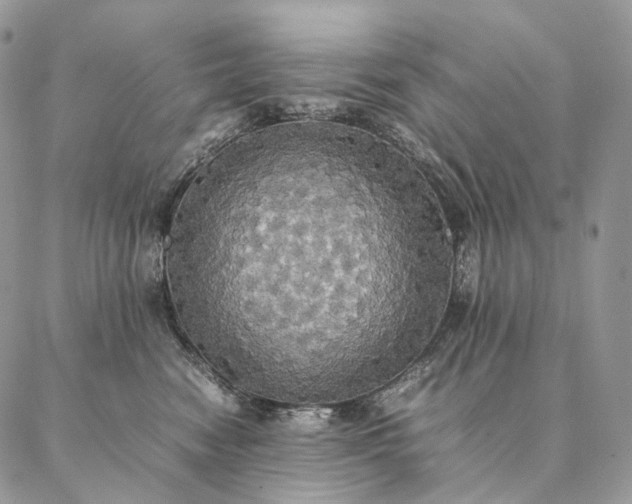 X0000086940474200704231402