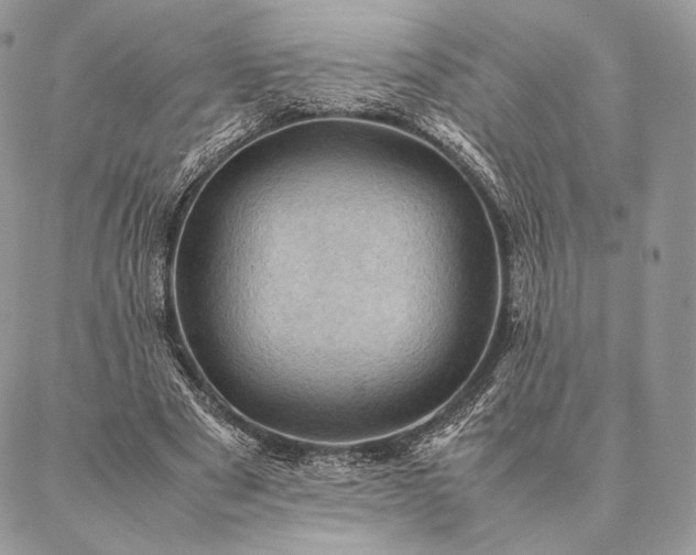 X0000086940489200704231401