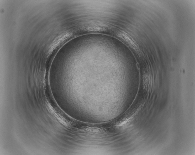 X0000086940490200704231401