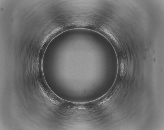 X0000086940492200704231401