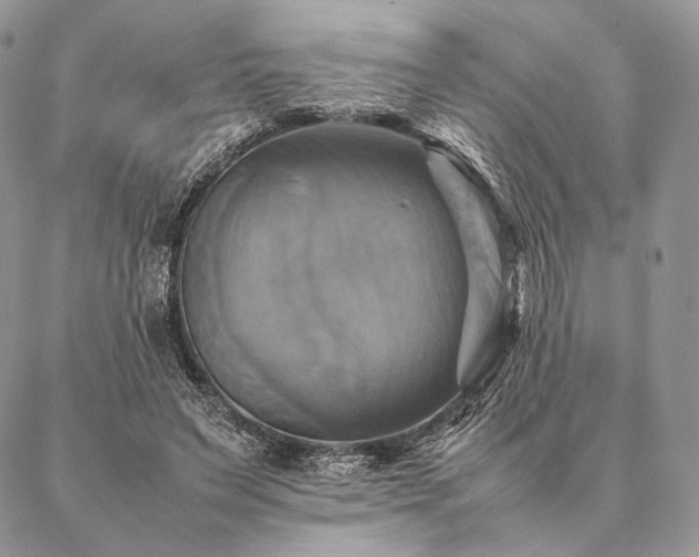 X0000086940495200704231401