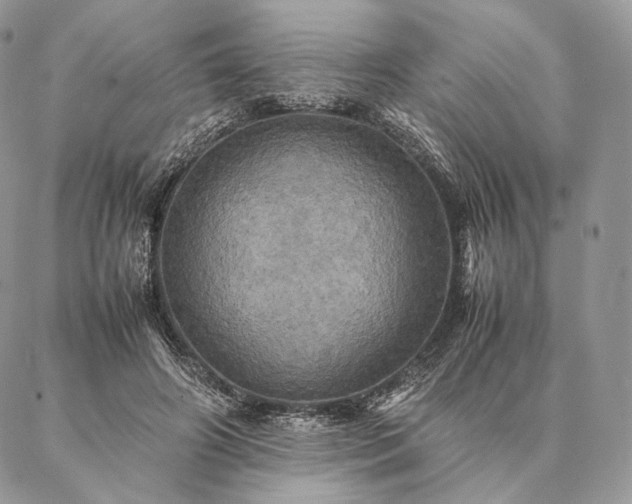 X0000086940498200704231401