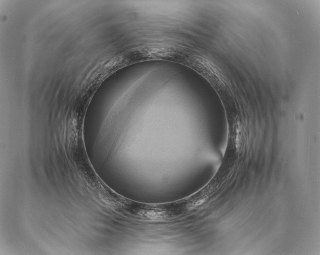 X0000086940506200704231401