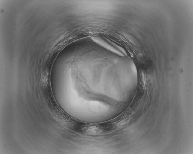 X0000086940507200704231401