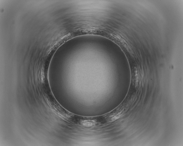 X0000086940508200704231401
