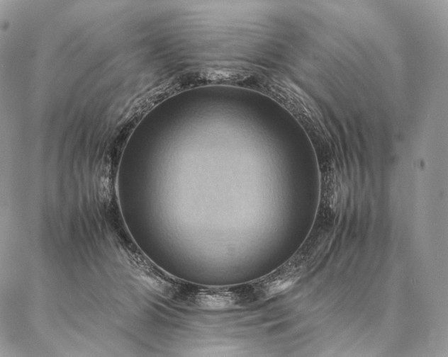 X0000086940510200704231401