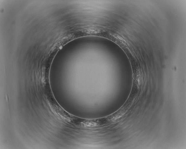 X0000086940512200704231401
