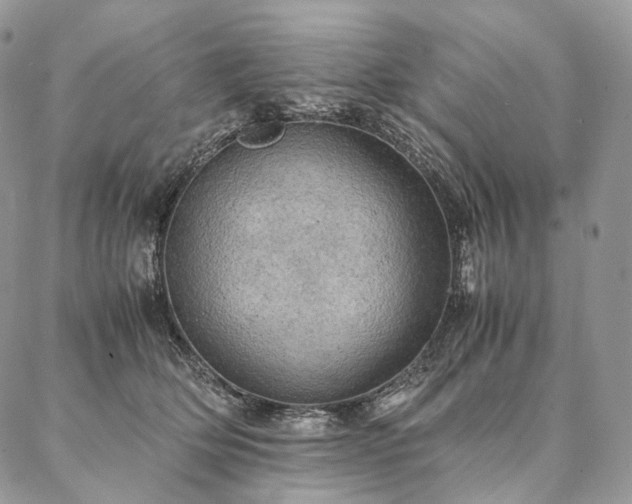 X0000086940514200704231401