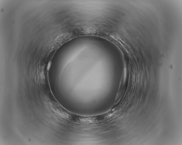 X0000086940516200704231401