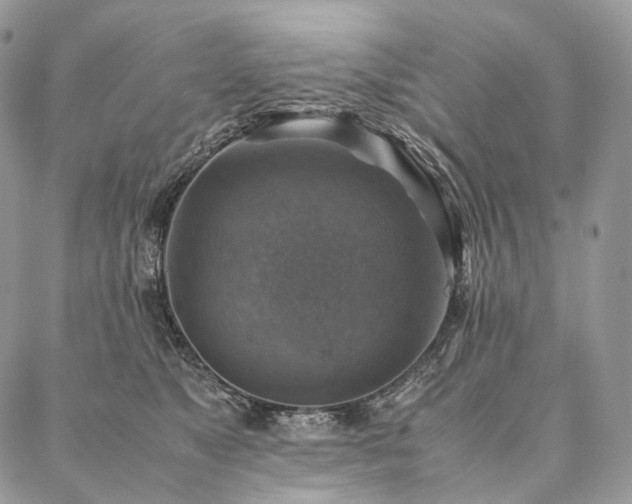 X0000086940517200704231401