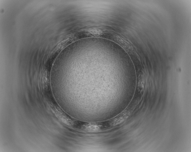 X0000086940518200704231401