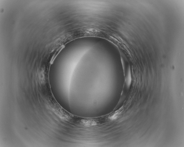 X0000086940520200704231401
