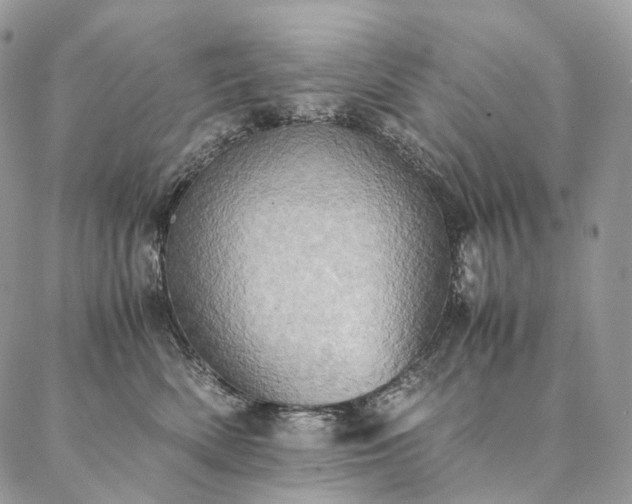 X0000086940522200704231401