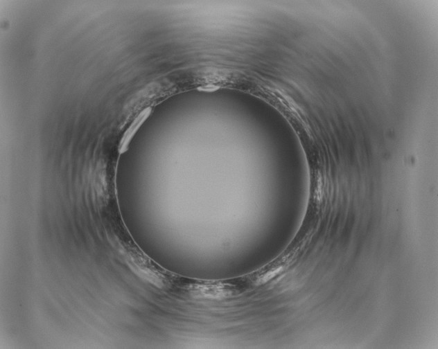 X0000086940524200704231401