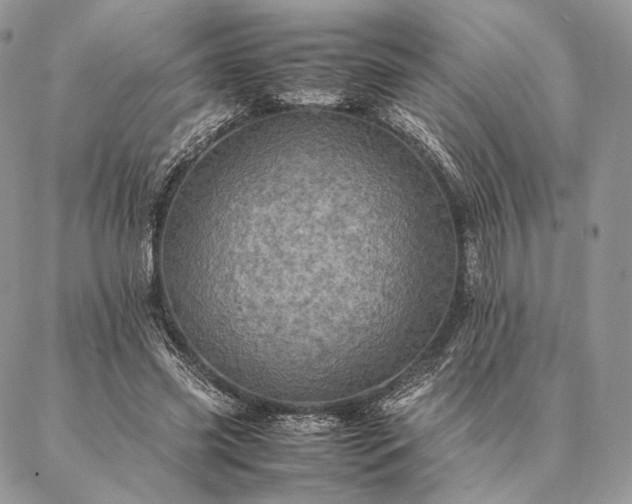 X0000086940541200704231400