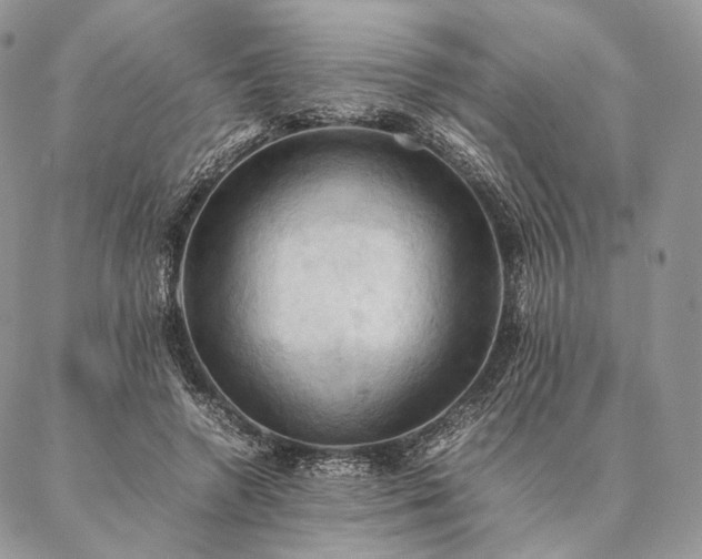 X0000086940546200704231400