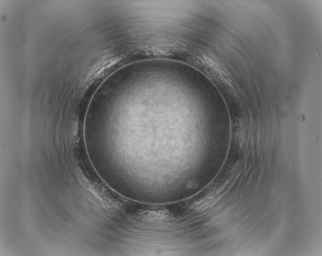 X0000086940548200704231400